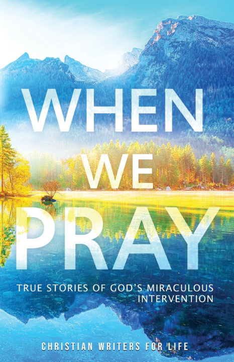 Kniha When We Pray Christian Writers for Life