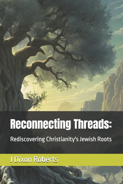 Kniha Reconnecting Threads J Dixon Roberts