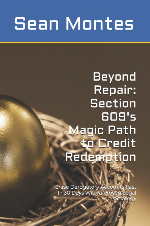 Kniha Beyond Repair Sean Montes
