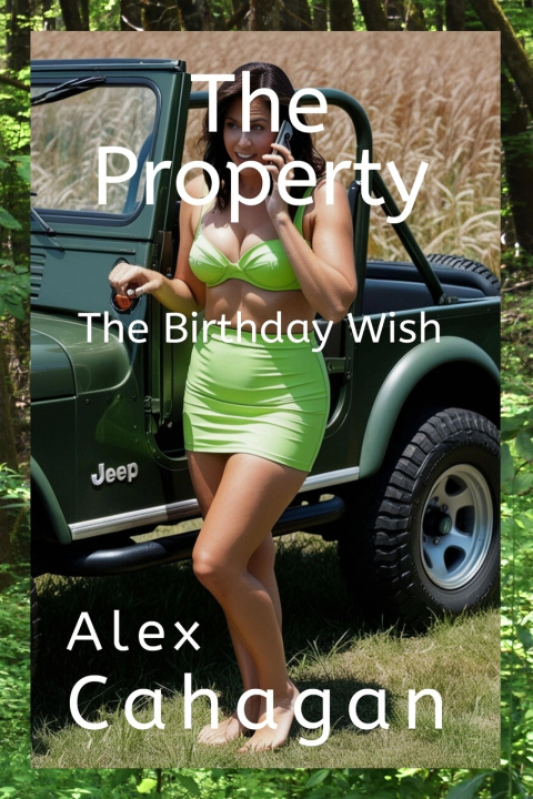 Kniha The Property Alex Cahagan