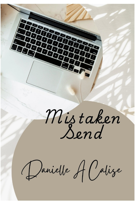 Kniha Mistaken Send Danielle A Calise
