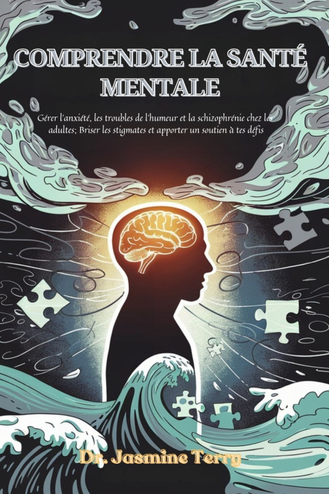 Kniha Comprendre la santé mentale Jasmine Terry