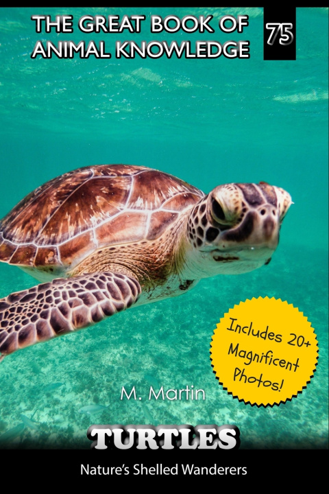 Kniha Turtles M Martin
