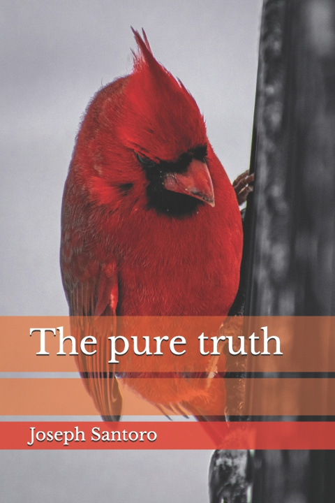 Kniha The pure truth Joseph Santoro