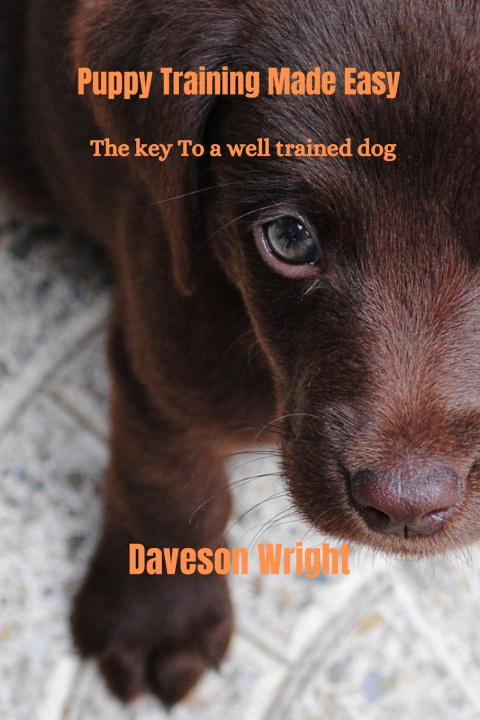 Kniha Puppy Training Made Easy Daveson Wright