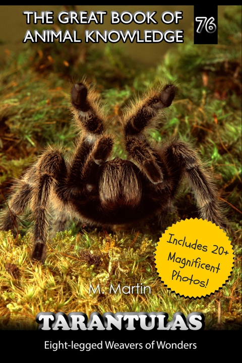 Könyv Tarantulas M Martin