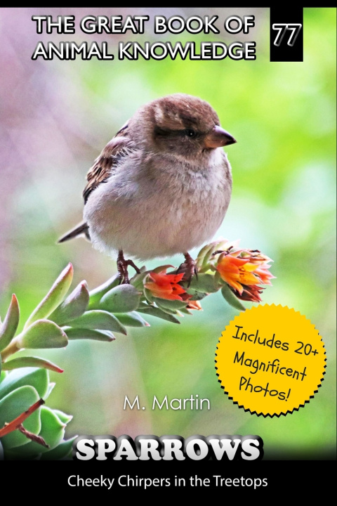Kniha Sparrows M Martin