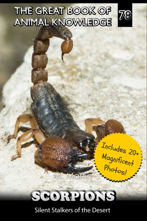 Kniha Scorpions M Martin