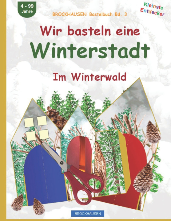 Kniha Wir basteln eine Winterstadt Dortje Golldack