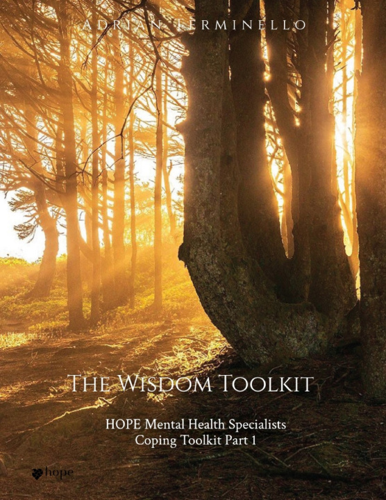 Kniha The Wisdom Toolkit Adrian Joseph Terminello