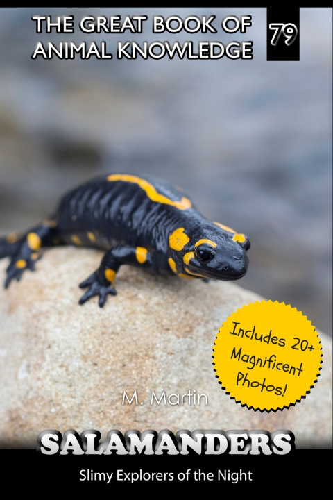 Könyv Salamanders M Martin