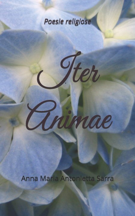 Kniha Iter Animae Anna Maria Antonietta Sarra Autore