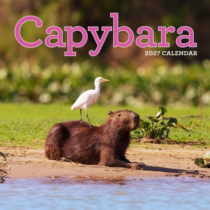 Kalendář/Diář Capybara Wall Calendar 2027 Workman Calendars