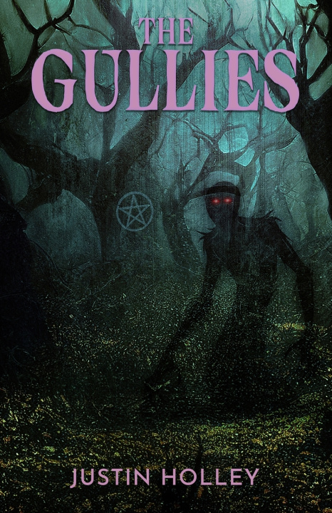 Kniha The Gullies Justin Holley