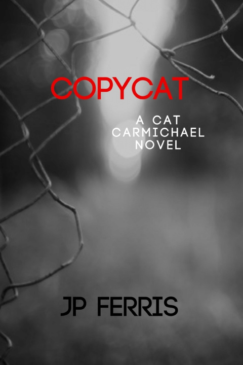 Kniha Copycat JP Ferris