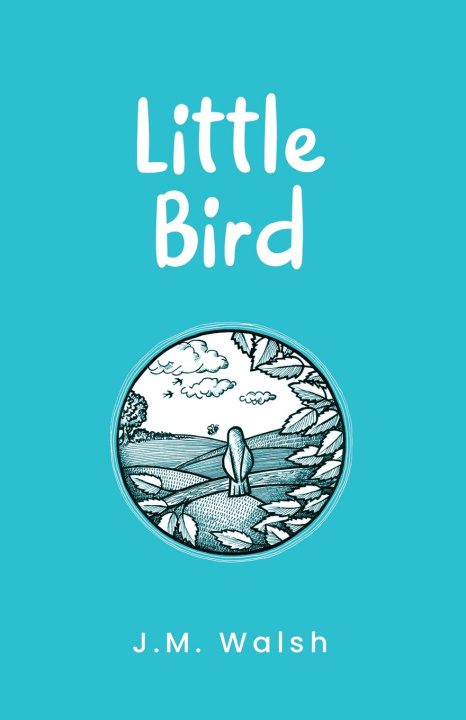 Kniha Little Bird J. M. Walsh