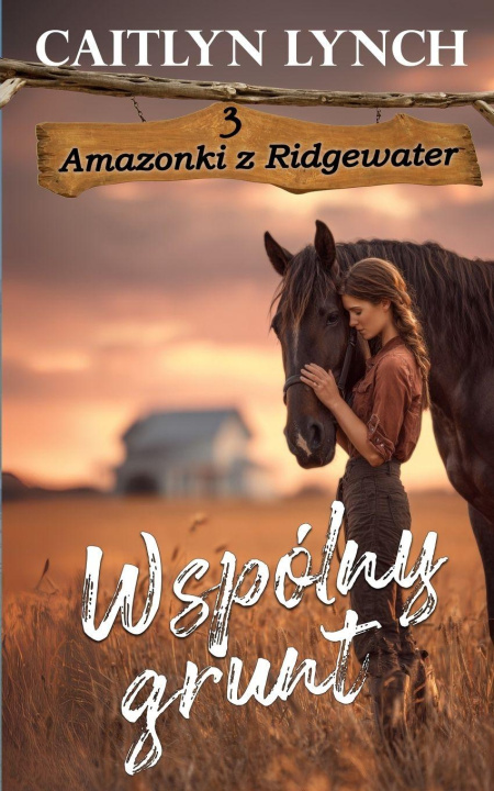 Buch Wspólny grunt Caitlyn Lynch