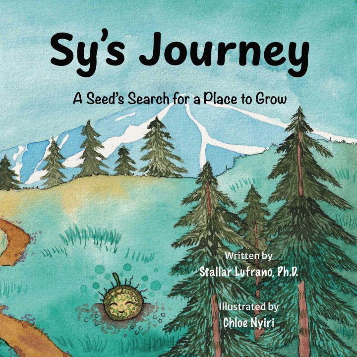 Kniha Sy's Journey Stallar Lufrano
