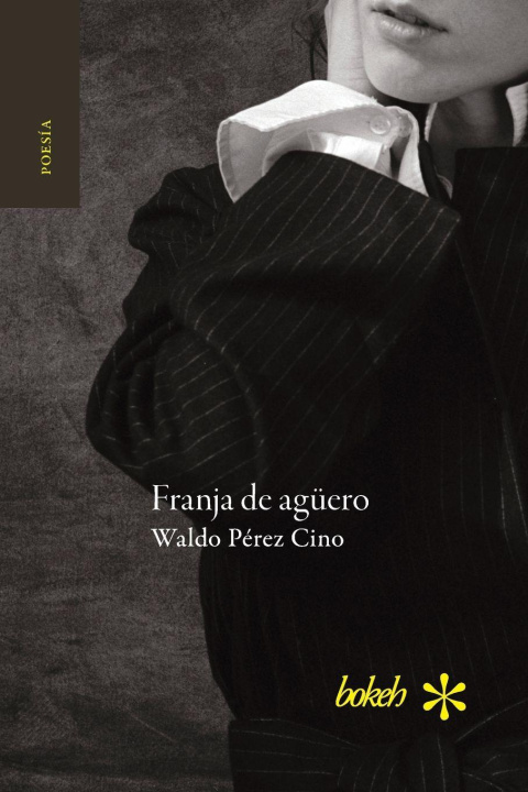 Kniha Franja de agüero Waldo Pérez Cino