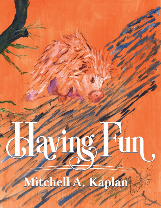 Kniha Having Fun Mitchell A Kaplan