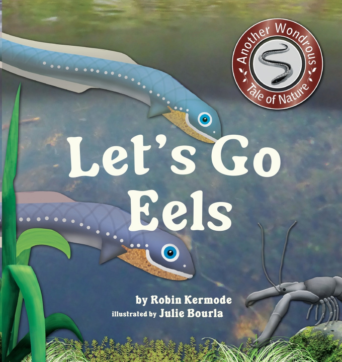Kniha Let's Go Eels Robin Kermode
