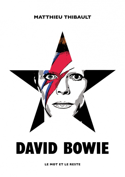 Kniha David Bowie Matthieu THIBAULT