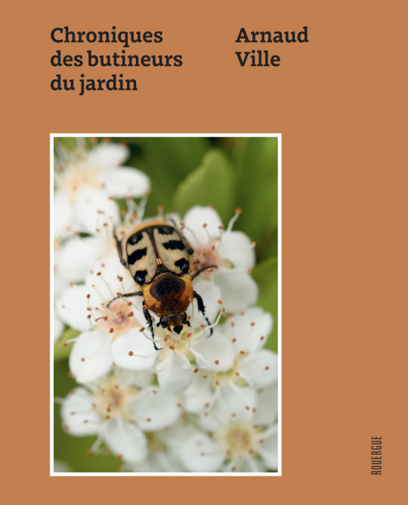 Boek Les pollinisateurs Ville