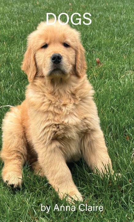 Boek DOGS Anna Claire
