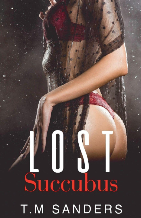 Kniha Lost Succubus T.M Sanders