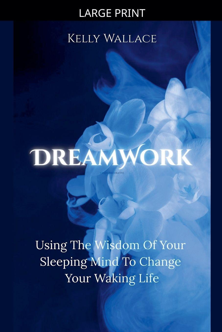 Kniha DreamWork Kelly Wallace