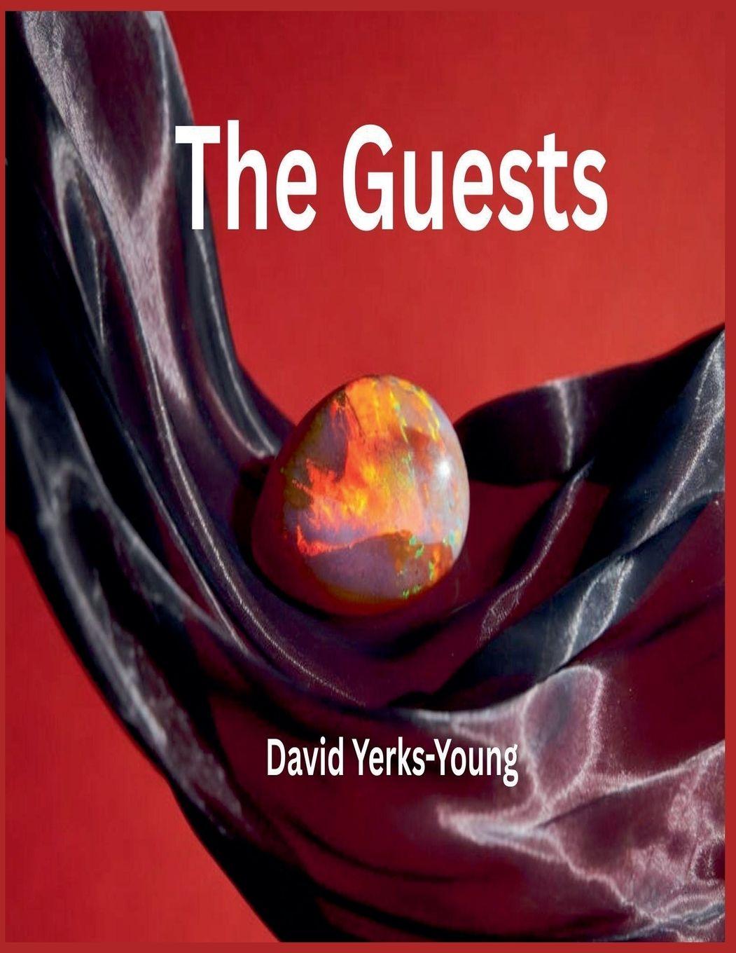 Kniha The Guests David Yerks-Young