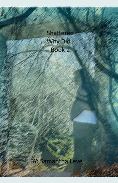 Book Why Did I Samantha Leve