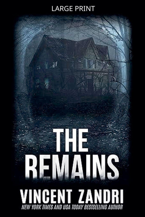 Kniha The Remains Vincent Zandri