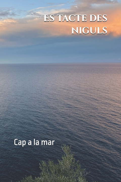 Kniha Es tacte des niguls Juanjo Martí Noguera