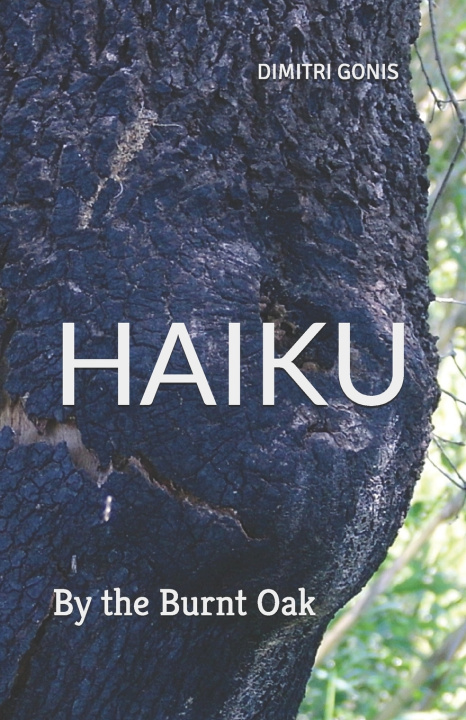 Kniha HAIKU Dimitri Gonis