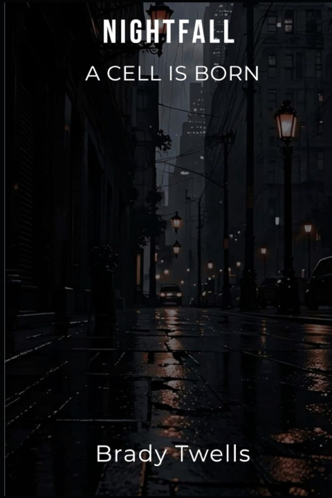 Kniha Nightfall Brady Twells