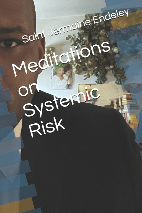 Kniha Meditations on Systemic Risk Saint Jermaine Endeley
