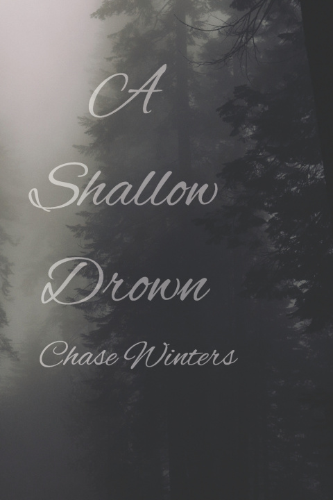 Kniha A Shallow Drown Chase Winters