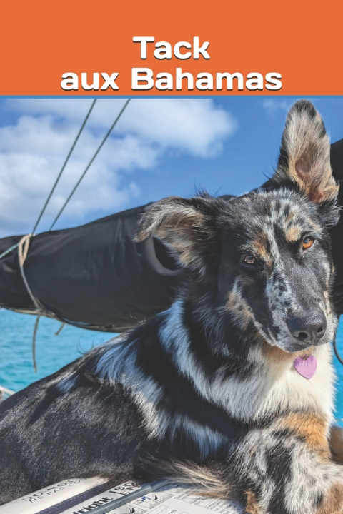 Книга Tack aux Bahamas Martine Ricard