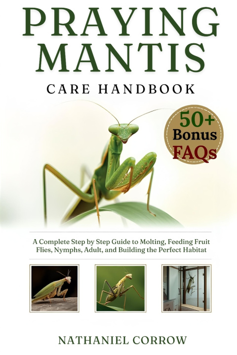 Kniha PRAYING MANTIS CARE HANDBOOK NATHANIEL CORROW