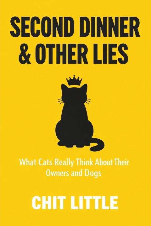 Kniha Second Dinner & Other Lies Chit Little