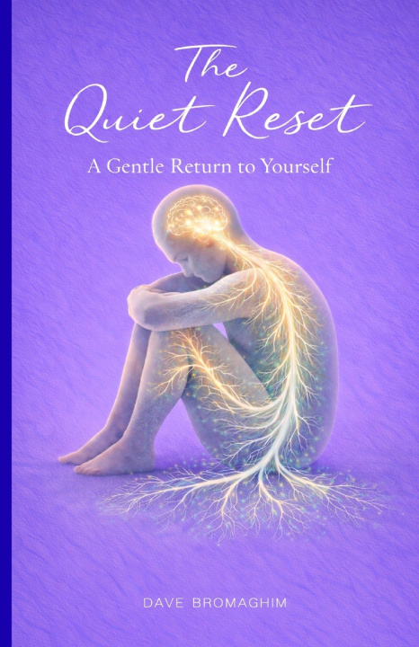 Книга The Quiet Reset DaveB