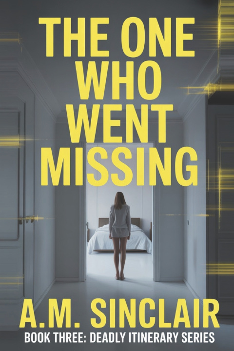 Kniha The One Who Went Missing A.M. Sinclair