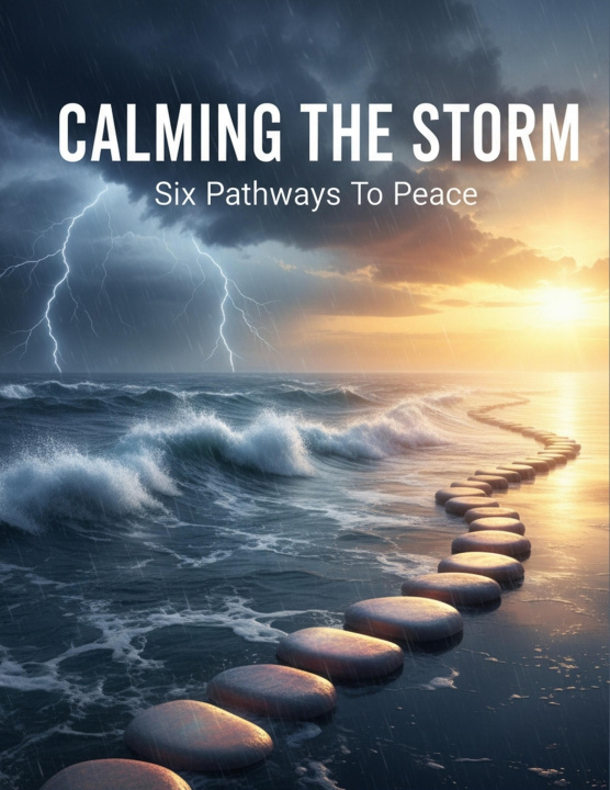 Knjiga Calming The Storm Tyler Moutz