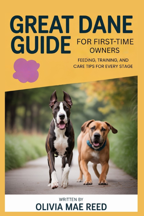 Knjiga Great Dane Guide for First-Time Owners Olivia Mae Reed