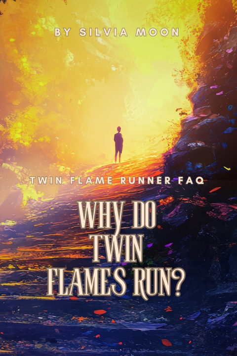 Kniha Why Do Twin Flames Run? Silvia Moon
