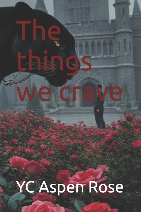 Kniha The things we crave YC Aspen Rose