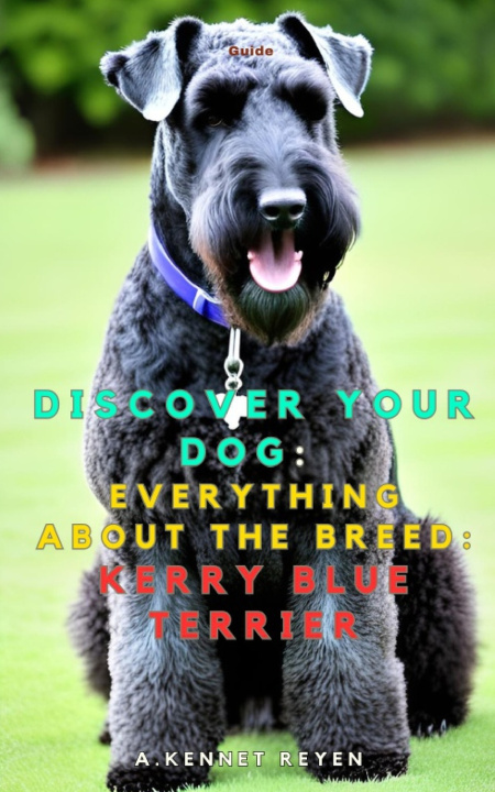 Kniha Discover your dog A. Kennet Reyen
