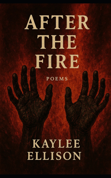 Knjiga After The Fire Kaylee Ellison