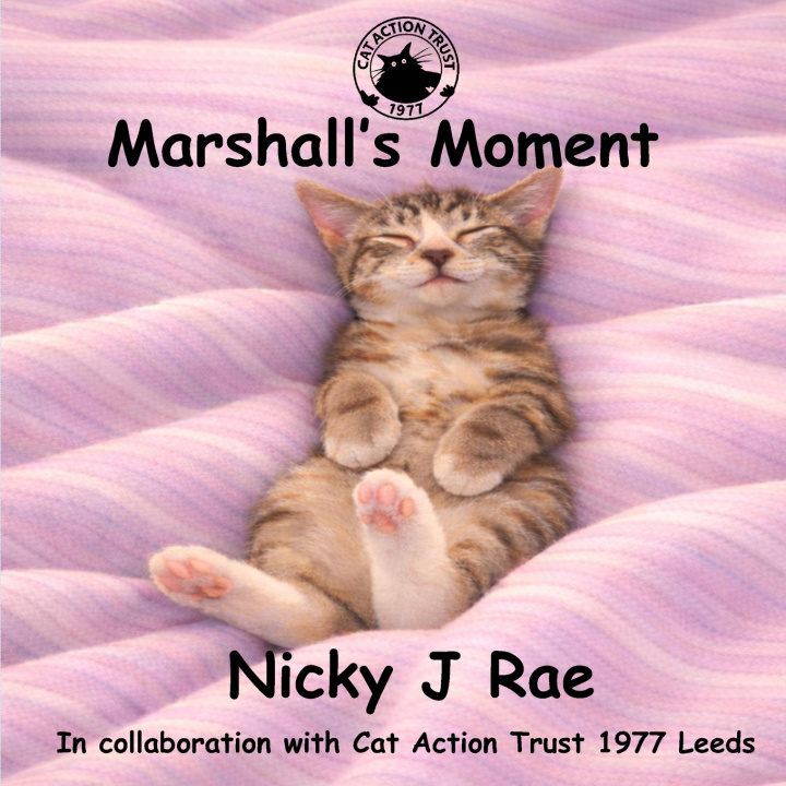 Kniha Marshall's Moment Nicky J Rae